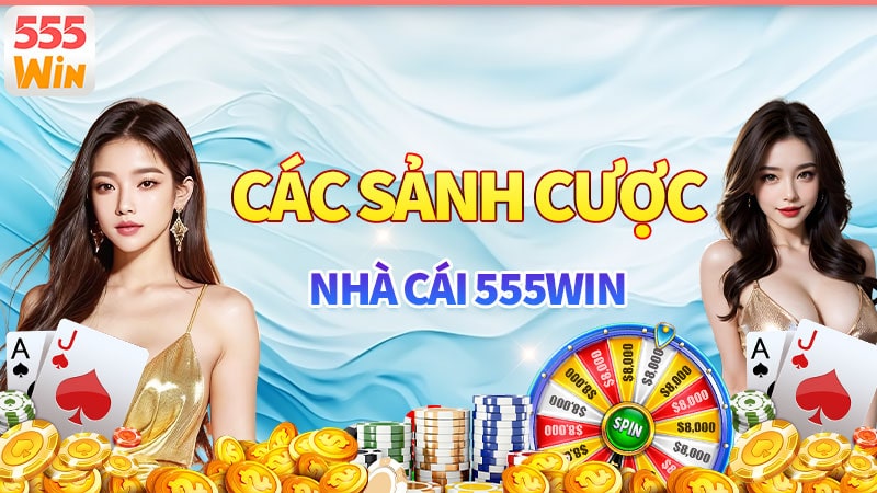Giới thiệu 555win về hệ thống sản phẩm